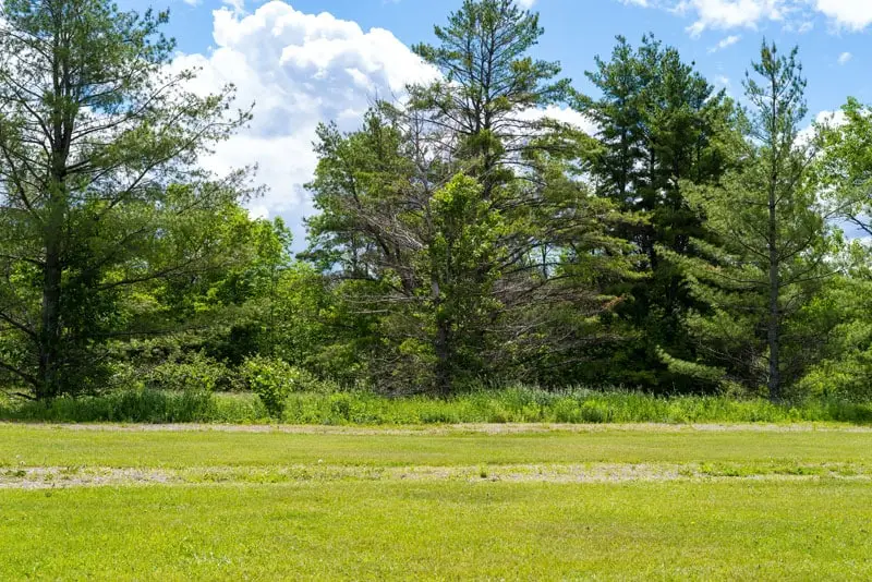 Environmental Remediation Site after cleanup | Groupe SCP