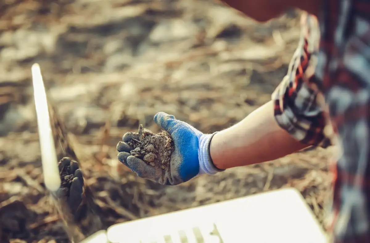Phase 2 environmental site assessment soil samples being taken | Groupe SCP