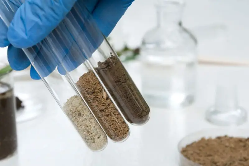In lab phase 2 environmental site assessment samples | Groupe SCP