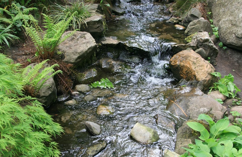 Ecological study of a creek | Groupe SCP
