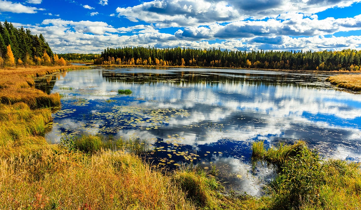 Ecological study of a large field and water | Groupe SCP